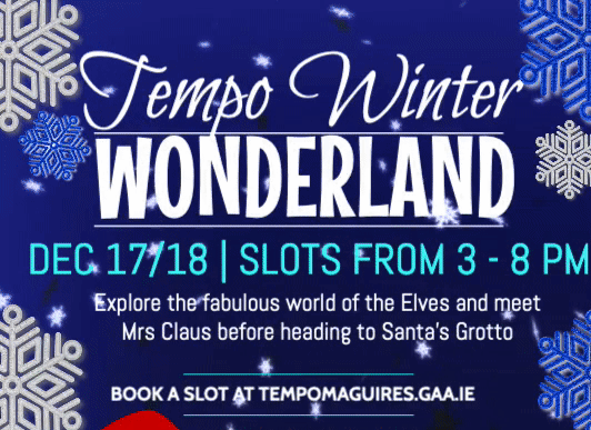 Tempo Winter Wonderland